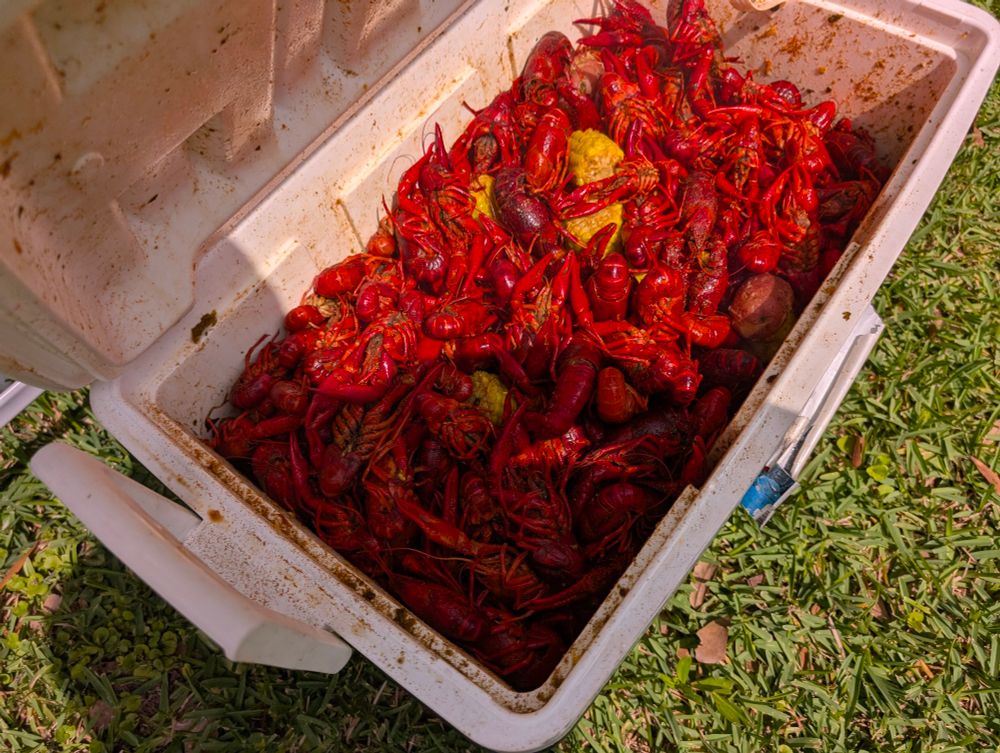Crawfish 2