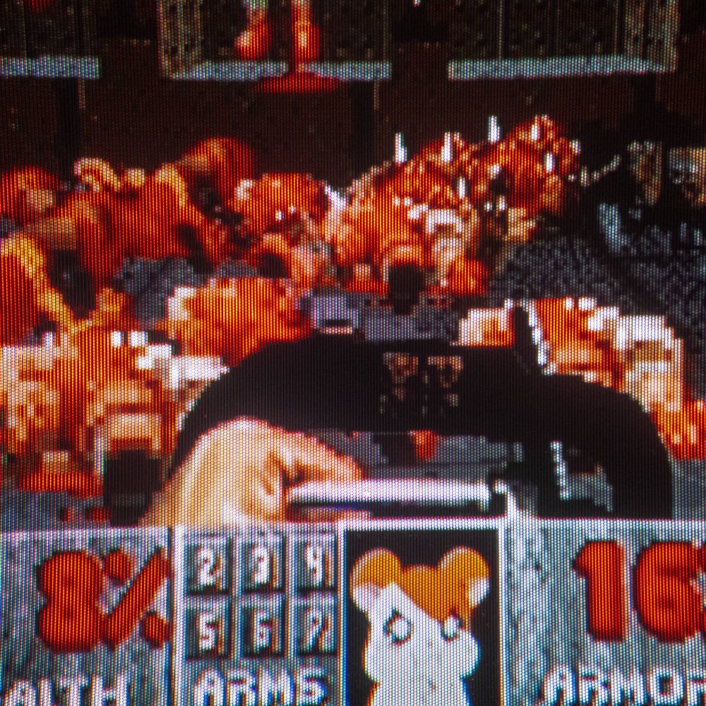 A nostalgic look at the 2002 GBC mega hit, Hamtaro: Ham-Hams Unite! on my nostalgic CRT television.

(A room of DOOM enemies that have been chainsawed to death -Doomguy's portrait has been replaced with an angry pouting Hamtaro)
