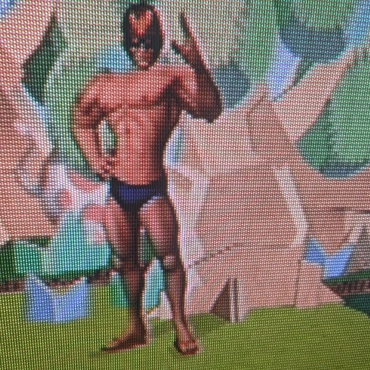 A nostalgic look at the 2001 GameCube mega hit, Super Smash Bros. Melee on my nostalgic CRT television.

(Speedo Falcon mod by Canondorf and Sippycup from SSBM Textures)