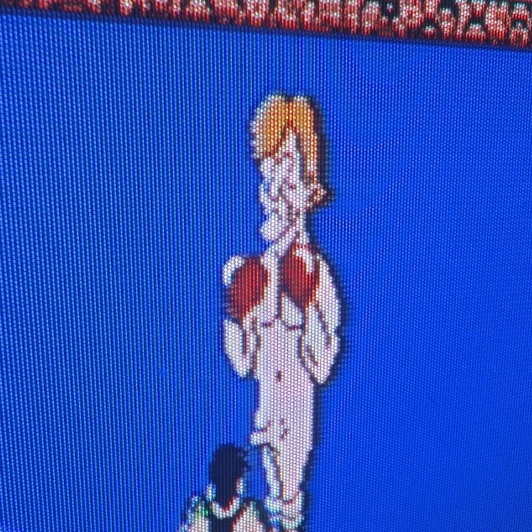 A nostalgic look at the 1987 NES mega hit, Punch-Out!! on my nostalgic CRT television.

(The Glass Joe fight from the "Nude Punch-Out mod by ExDeath)