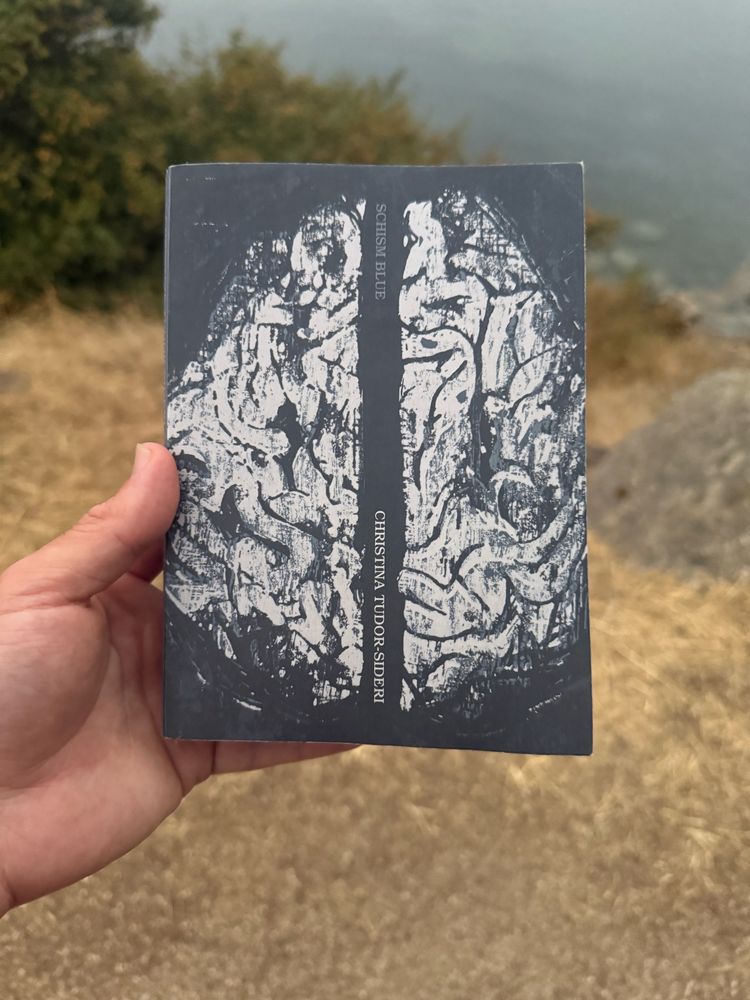 Schism Blue by Christina Tudor-Sideri paperback book with cliff facing the ocean in background, including plants, dead grass, and a rock.