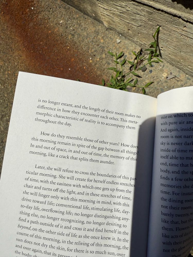 Pages from Schism Blue by Christina Tudor-Sideri and iPhone shadow, with outdoor rock flooring and weeds in background: