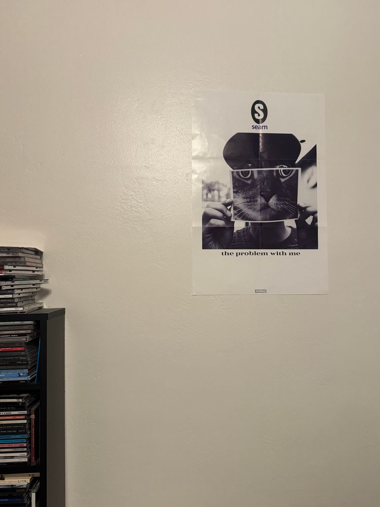 Upper right: Seam - The Problem With Me poster on a white wall. 

On the left: CD shelving unit with stacks of CDs.