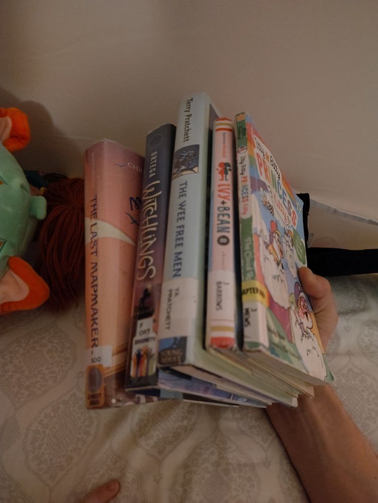 Five library books:
The last Mapmaker,
Witchlings,
The wee free men,
Ivy and bean (the show is so good),
Itty bitty princess kitty.