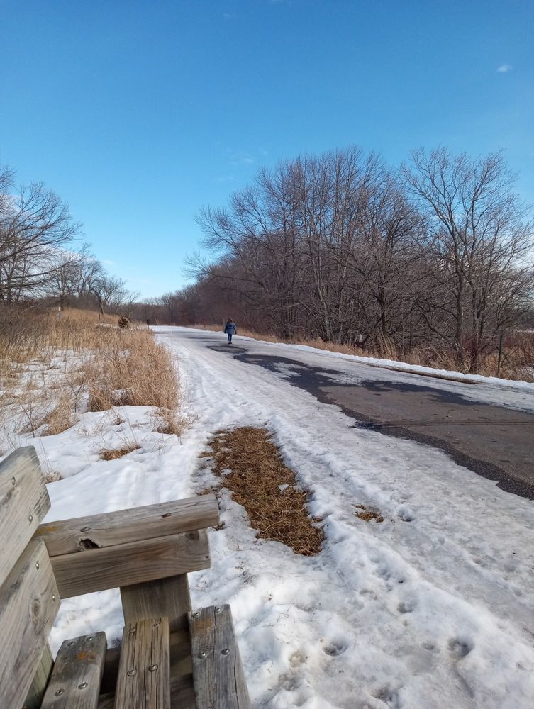 A girl walking in the distance on a snowy trail.