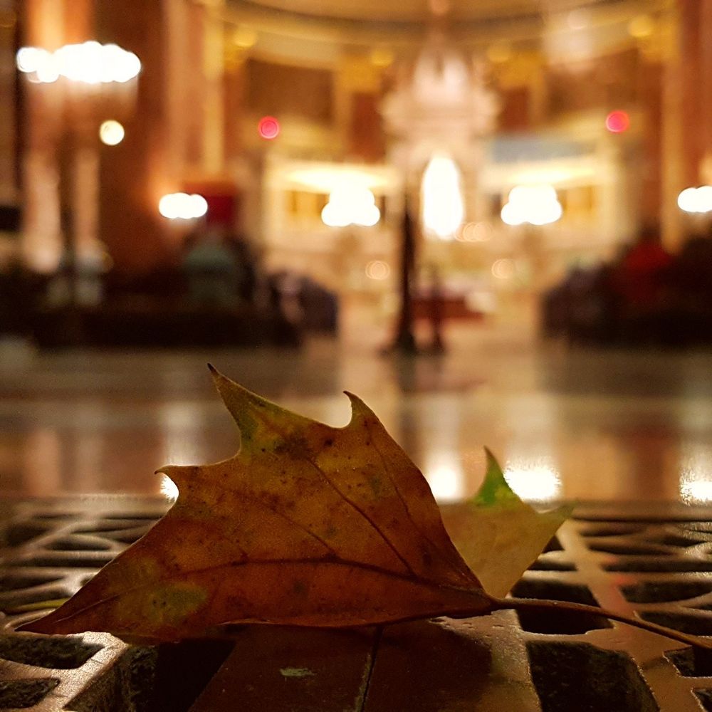 at St. Stephen's Basilica, Budapest