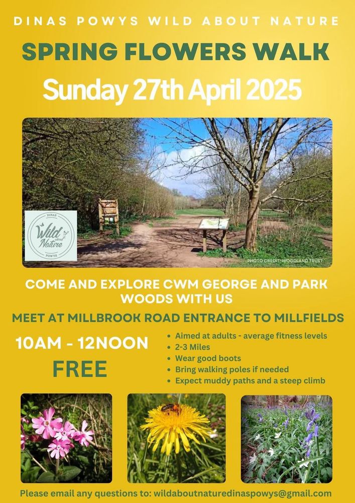 Meet at Millbrook Road entrance to Dinas Powys woods 10-12noon. 2-3 miles including a steep climb. 