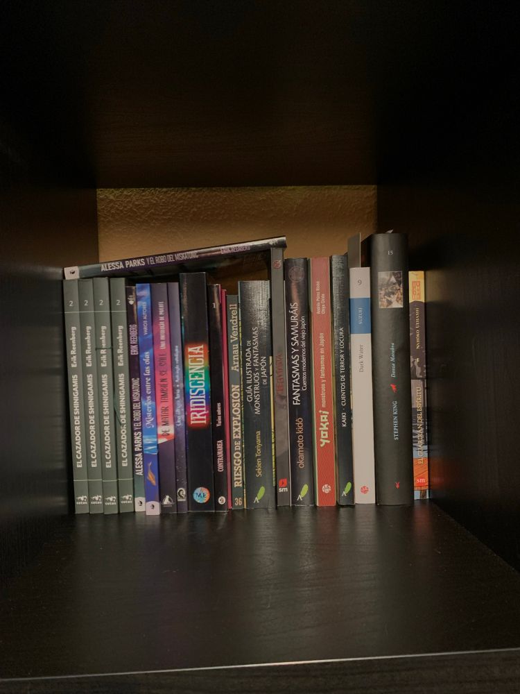 Foto de una colección de libros. 
El cazador de shinigamis
Alessa parks y el robo del Miskatonic
Misterios entre las olas
De matar también se sale
Una última luna
Iridiscencia
Contramarea 
Riesgo de explosión 
Guía ilustrada de monstruos y fantasmas de Japón
Creepypasta 
Fantasmas y samurais
Yokai. Monstruos y fantasmas en Japón
Kaiki. Cuentos de terror y locura
Dark water 
Danza macabra 
El guardián del espíritu 
