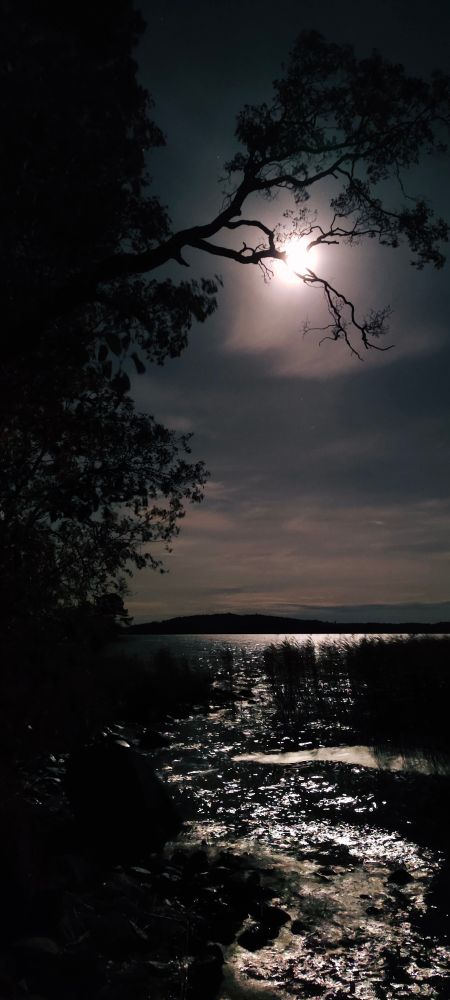 Full moon by the lake in October