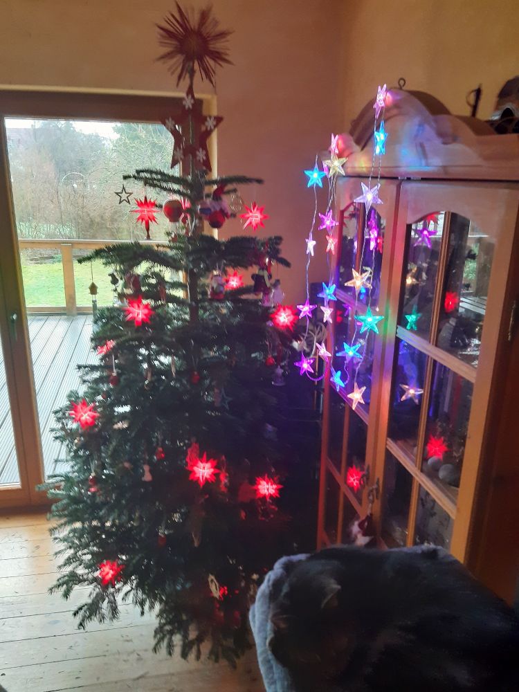 Ein Weihnachtsbaum mit roten Lichtern, im Vordergrund ein Kratzbaum mit schlafender Katze.
