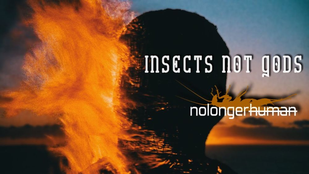 nolongerhuman – Insects Not Gods Official Music Video