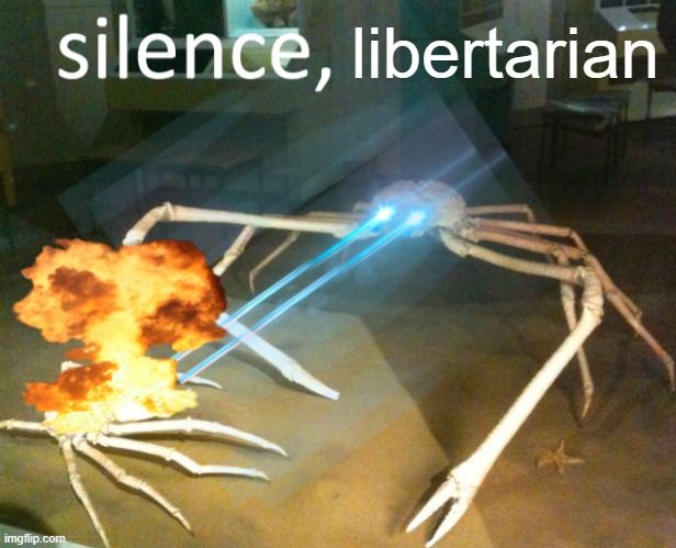 A meme with a long legged crab shooting laser eyes at a smaller crab. At the top of the image are the words 