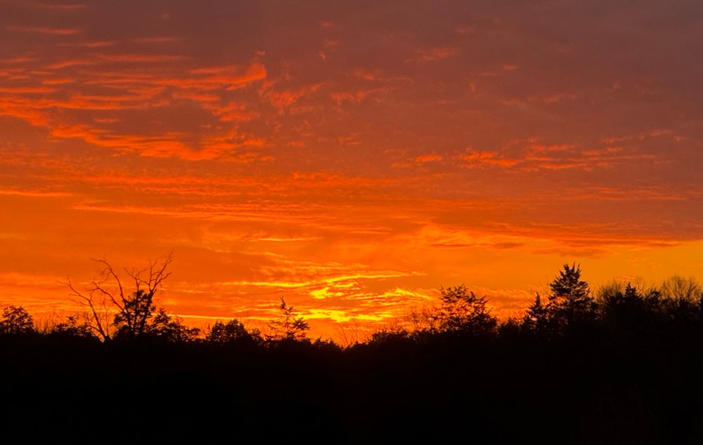 Orange sunset sky with a puffy cloud pattern in the upper left. Bright yellow in the center. Dark trees line the bottom of the photo. 