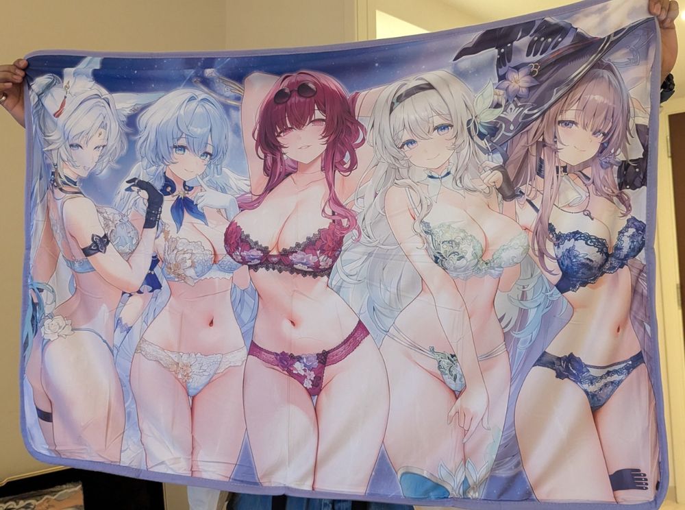 Scantily clad Jingliu, Robin, Kafka, Firefly, and Herta from Honkai Star Rail on a blanket.

Don't judge, I've seen what you degenerates post on here with no issues.