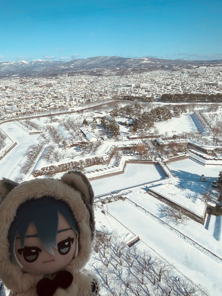 子タろが行きたがってた五稜郭