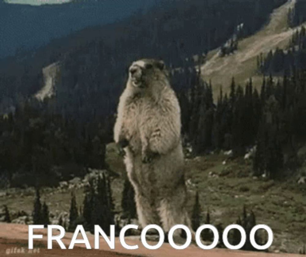 Franco Ddlj Franco GIF