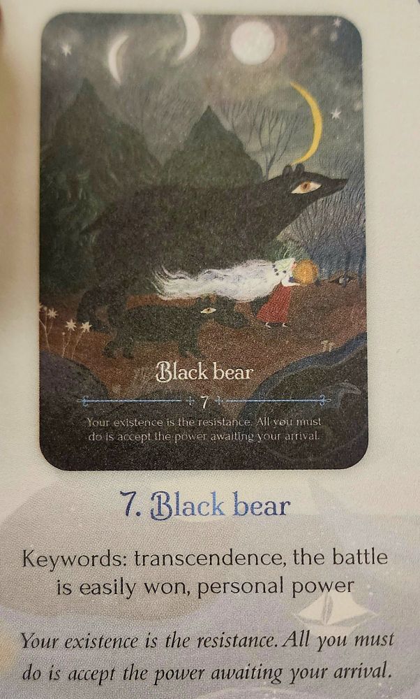 Black Bear card. Key words: transcendence, the battle is easily won, personal power. "Your existence is the resistance. All you must do is accept the power awaiting your arrival." 