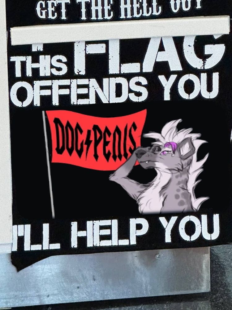 A photoshopped image of a mall tshirt kiosk design that used to have the US flag with the text "If this flag offends you, I'll help you pack". It has been replaced with a telegram sticker of a grey and white maned hyena saluting a red flag that has DOG⚡PENIS on it. 🫡