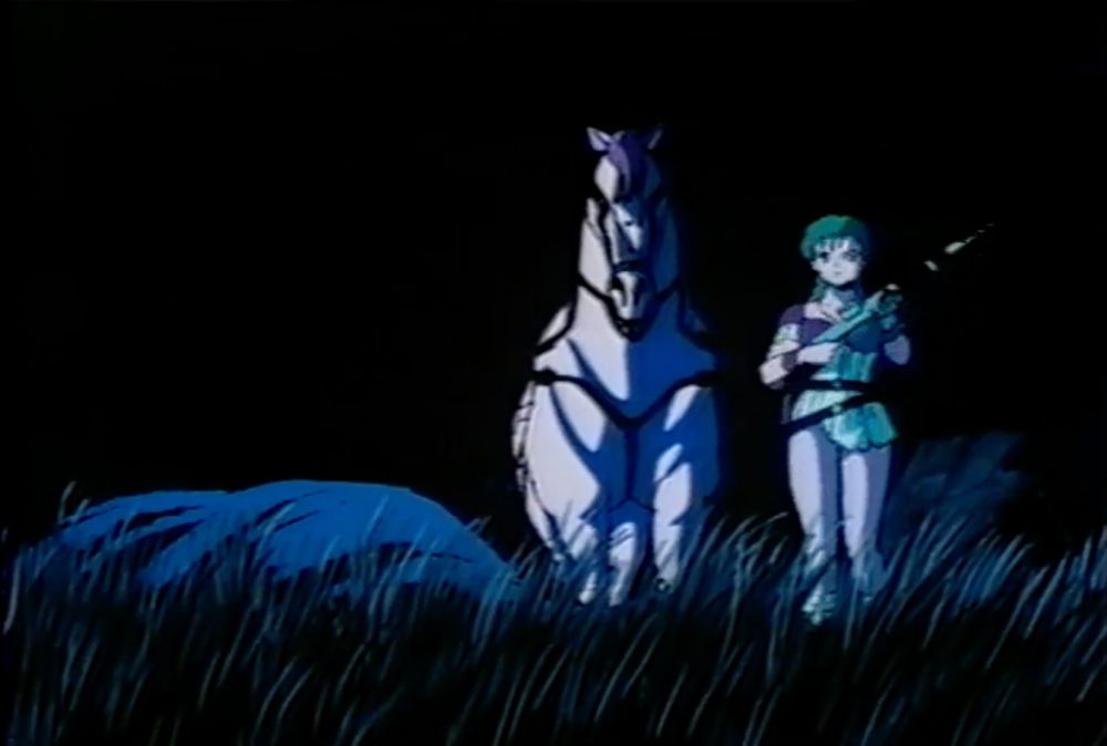 girl standing beside a horse in a field at night