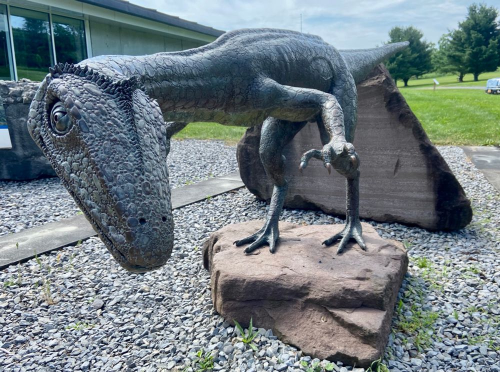 Life-size sculpture at Museum of the Earth, Trumansburg, NY. 