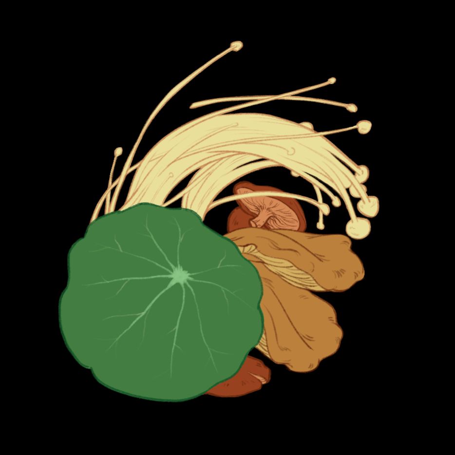 Digital illustration of a nasturtium leaf, enoki, shiitake, and oyster mushrooms on a black background