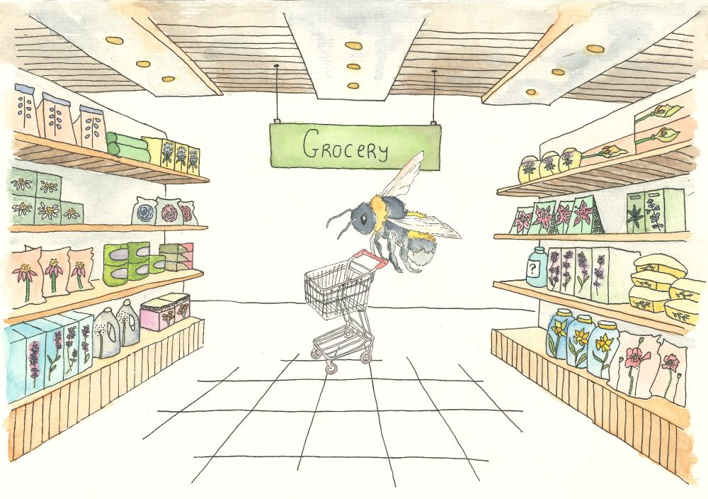 This is a water colour drawing of a bumble bee flying in the air and pushing a shopping cart through a supermarket. A sign marking Grocery hangs above her head as she peruses the isles marked with boxes, sacks and jars with different flower drawings on them. 