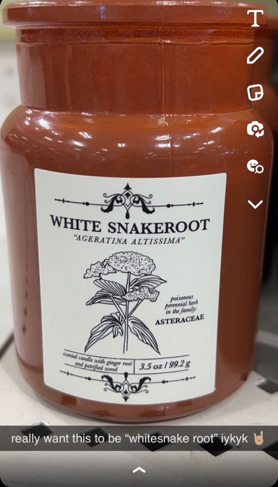 a hair band reference find at target