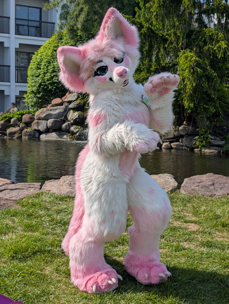 a hella cute light pink fluffy fox fursuiter