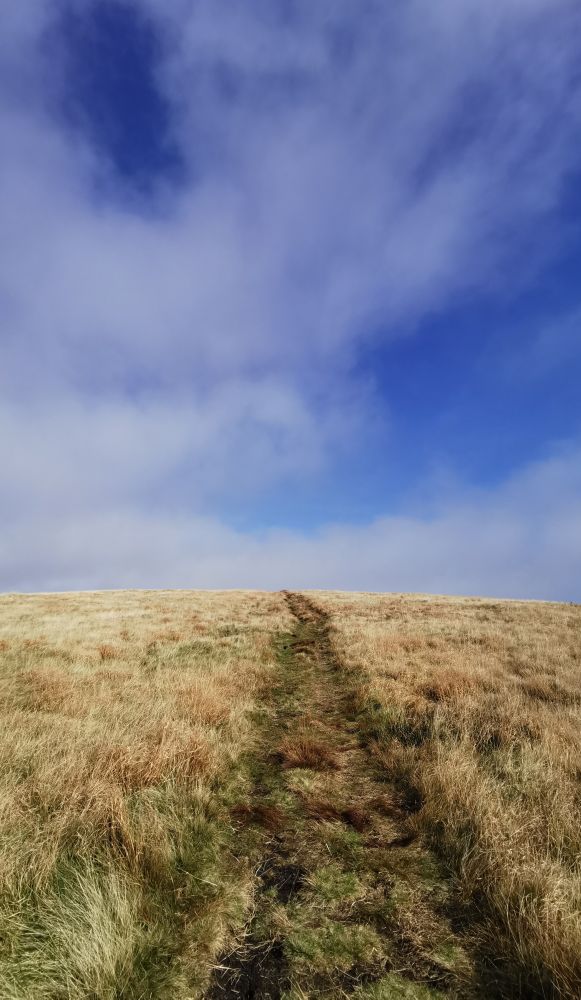 Pathway up a hill through golden grassland. Blue sky above with some soft white clouds. 