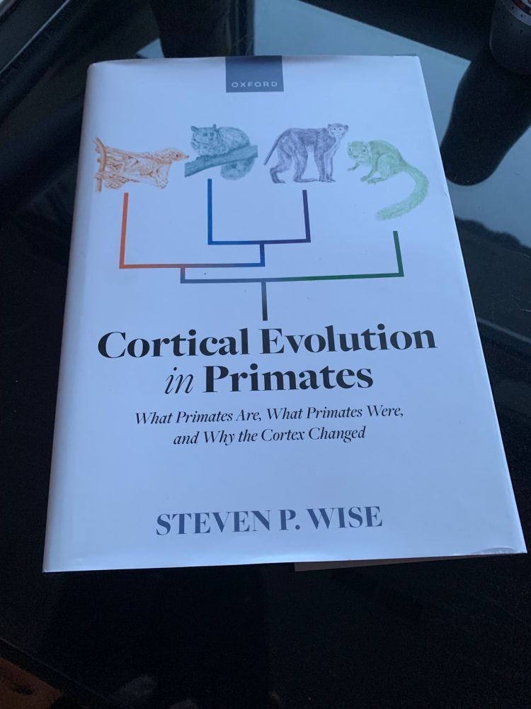 Wise's Cortical Evolution in Primates book