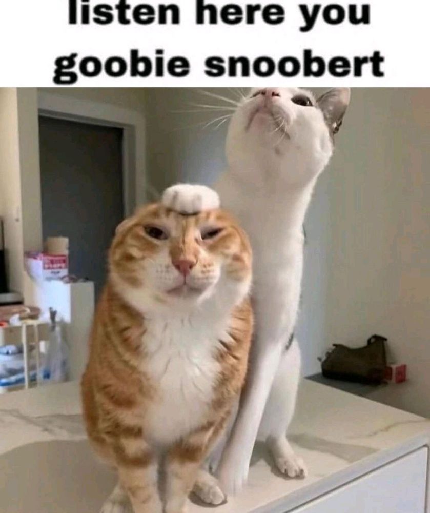 Comment image