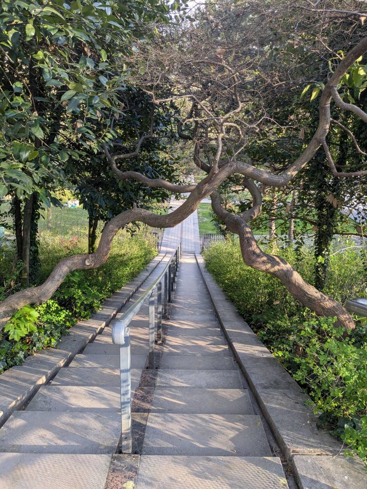 Escaliers du parc de Bercy avec deux troncs d'arbre barrant le passage à moitié