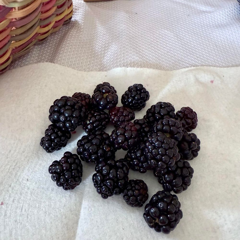 A small pile of blackberries.