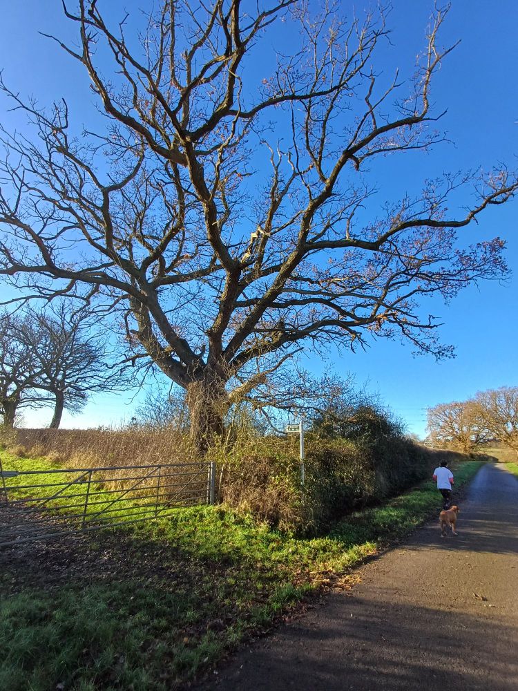 Bluesky after storm Bert.