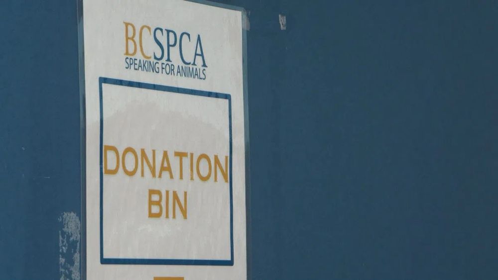 Kamloops BC SPCA issues urgent plea for pet food