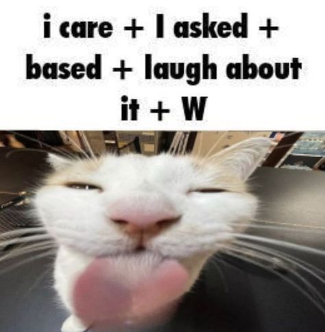 Comment image