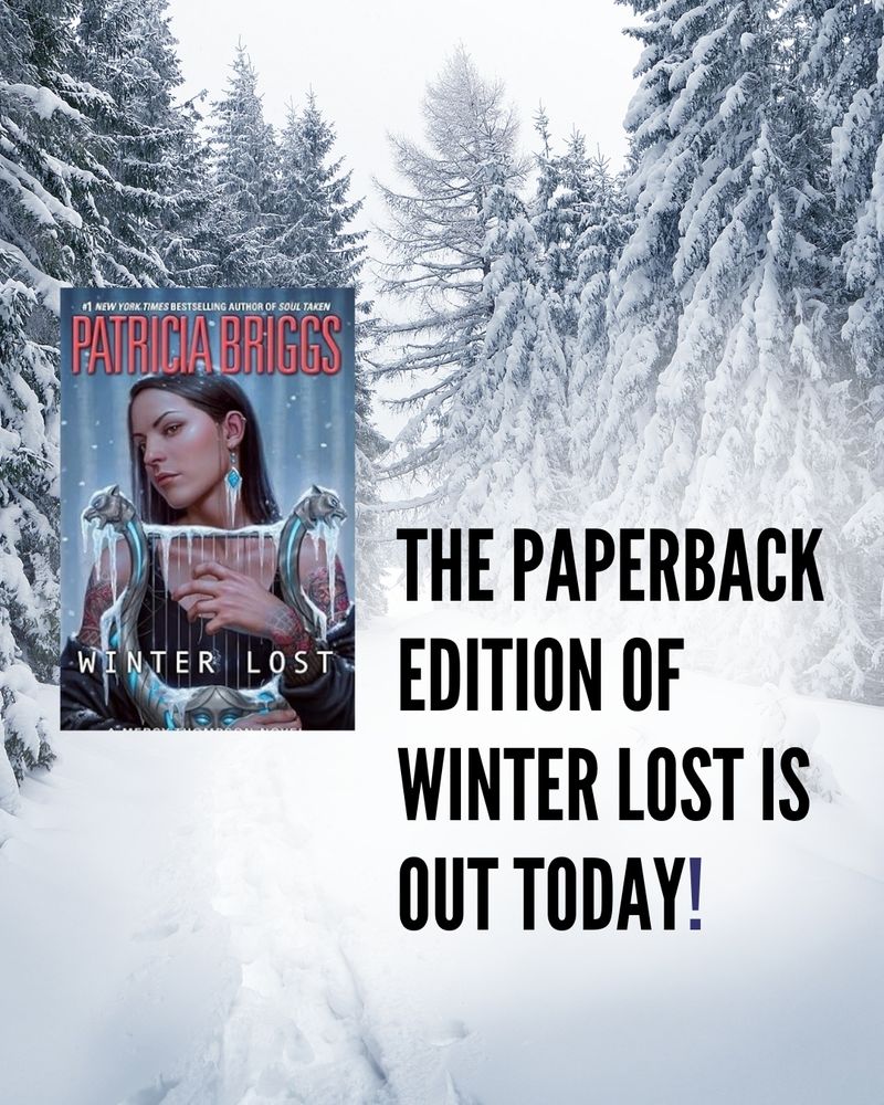 Graphic shows a wintery forrest with the cover of Winter Lost. The text graphic states The paperback edition of Winter Lost is out today!