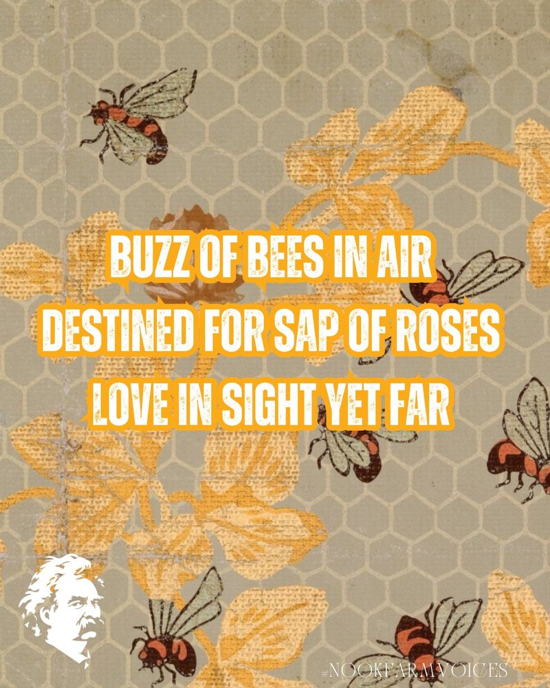 A digital graphic for the first stanza of a haiku suite called "Love is Icarus."