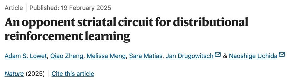 Picture of Nature article, published 19 Feburary 2025, titled "An opponent striatal circuit for distributional reinforcement learning", with authors Adam S. Lowet, Qiao Zheng, Melissa Meng, Sara Matias, Jan Drugowitsch & Naoshige Uchida.