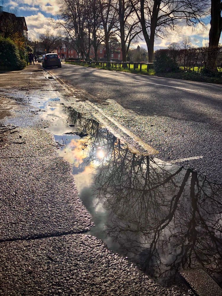 A quiet street scene with leafless trees lining the pavement on a partly cloudy day. A puddle in the foreground reflects the branches, the bright sun, and a patch of blue sky with soft clouds, creating a mirror effect on the wet tarmac. A parked car and a few distant pedestrians are in the background. 