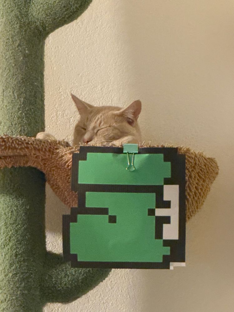 rambo in his kuribo shoe costume