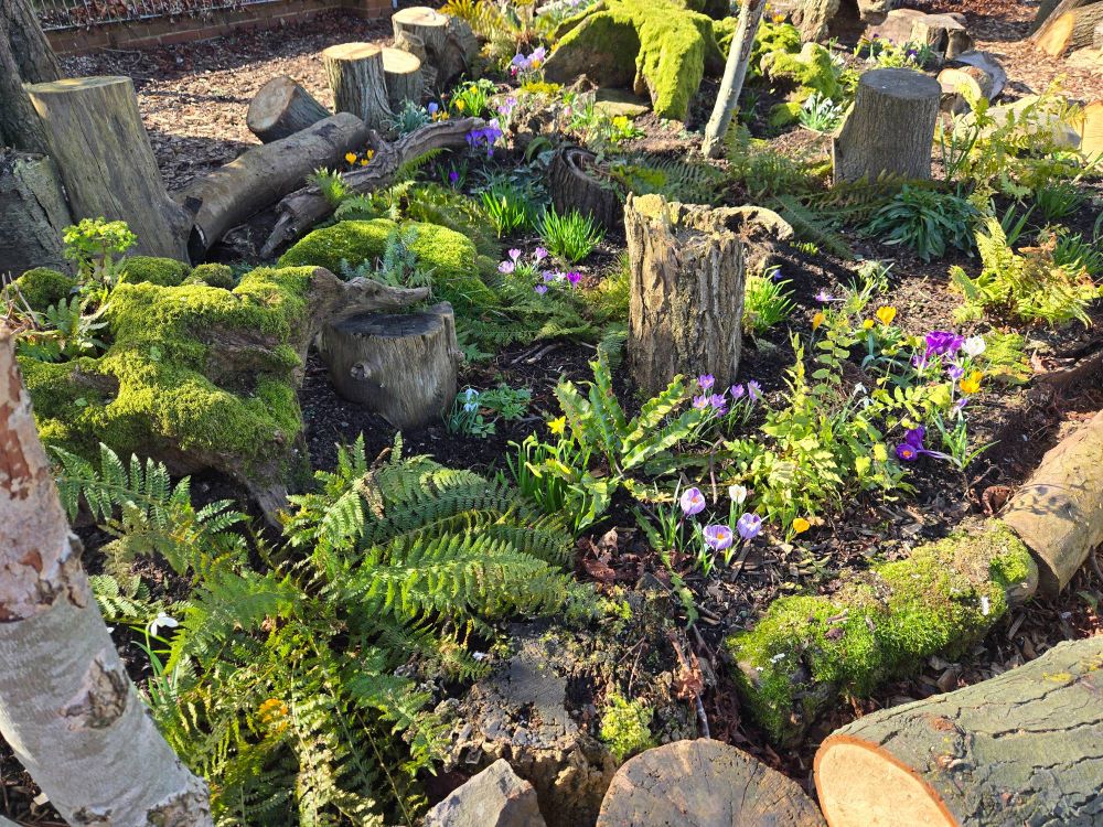 Stumpery 