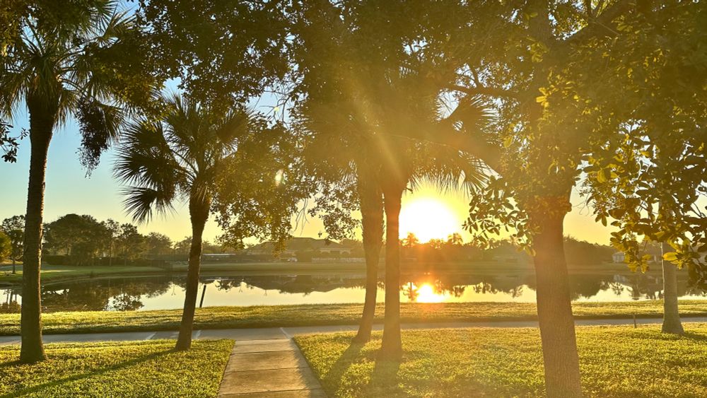 Sunrise between two palms.