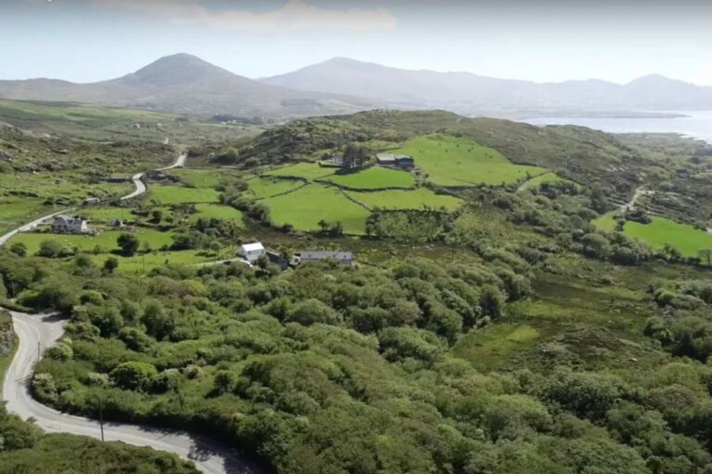 Rewilding Ireland: ‘Undoing the damage’ from a history of deforestation