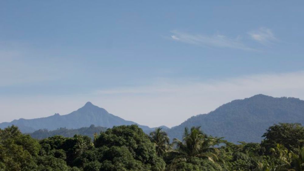 The woman fighting to save the Philippines’ last rainforests | CNN