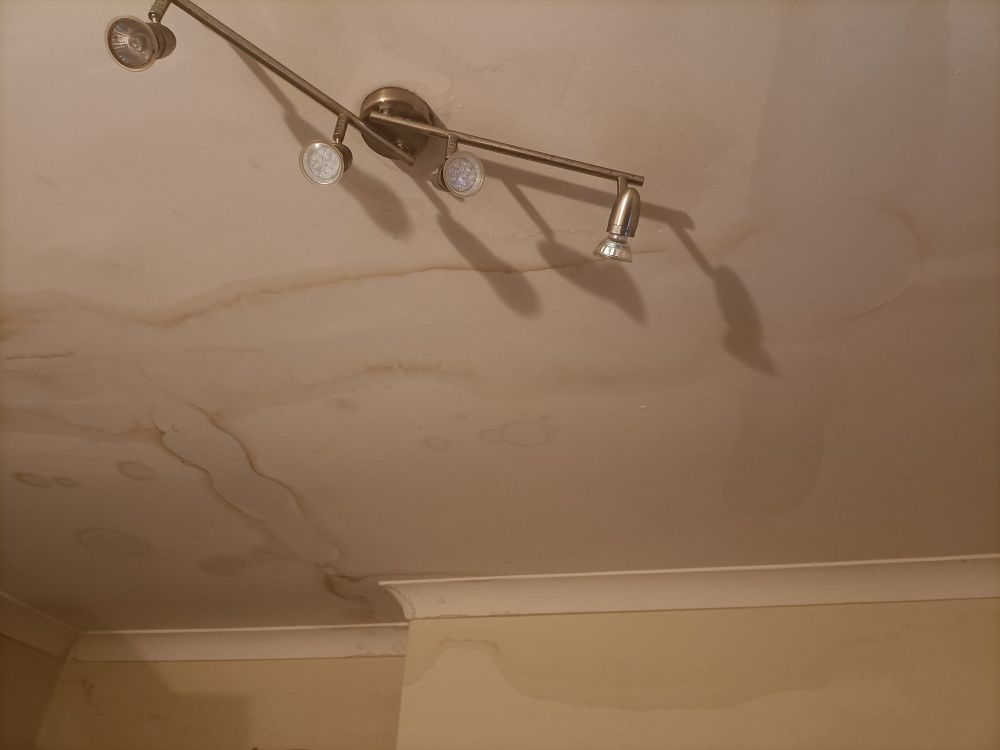 Water damage and staining to kitchen ceiling and walls, and the light fixture that let that water drip through to flood my floor, all resulting from a ruptured pipe in the flat above. The plaster is still visibly damp.