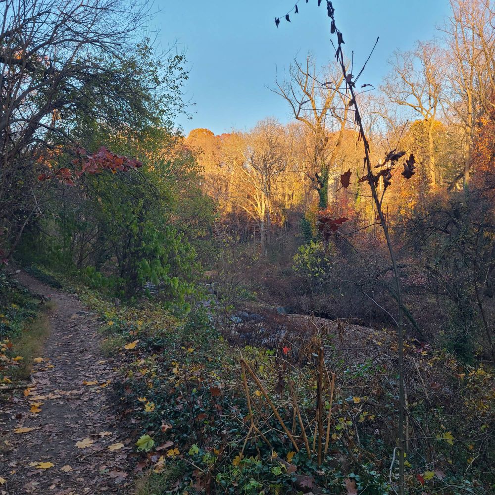 Stony Run Trail