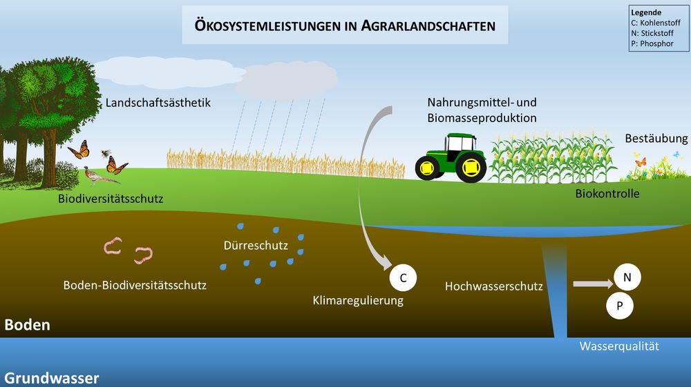 Schematische Abbildung mit Ökosystemleistungen in Agrarlandschaften: Nahrungsmittel- und Biomasseproduktion, Landschaftsästhetik, Biodiversitätsschutz, Boden-Biodiversitätsschutz, Dürreschutz, Klimaregulierung, Hochwasserschutz, Wasserqualität, Biokontrolle, Bestäubung (eigene Darstellung).