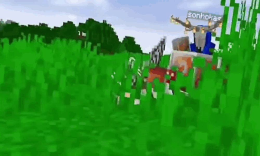 a person is riding a horse in a minecraft game .