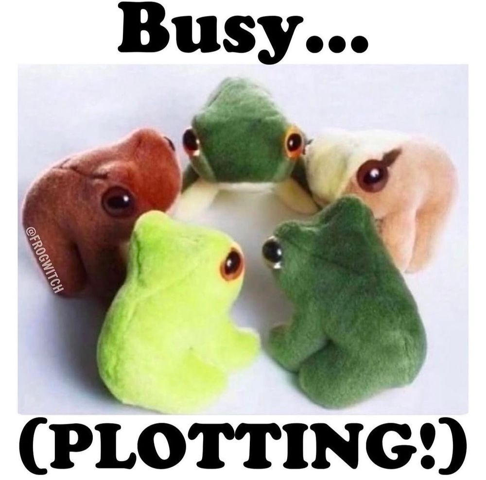 5 beanie baby type stuffed frogs in a circle.  There are all different shades of brown and green.  Overlaid is black text that says “Busy… (plotting!)”